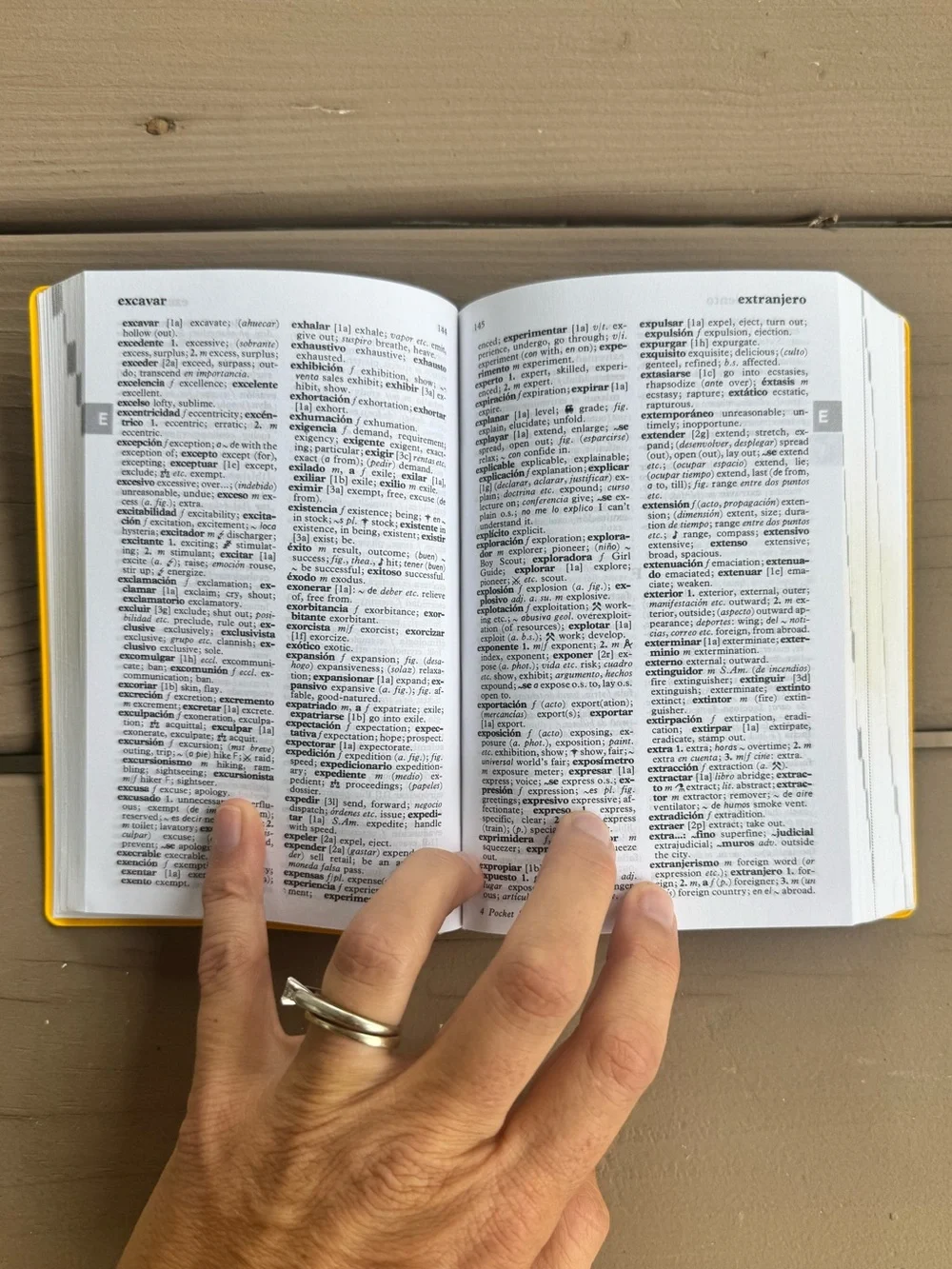 Langenscheidt Pocket Spanish/English Dictionary